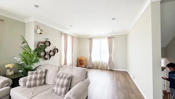 a living room with furniture and a potted plant