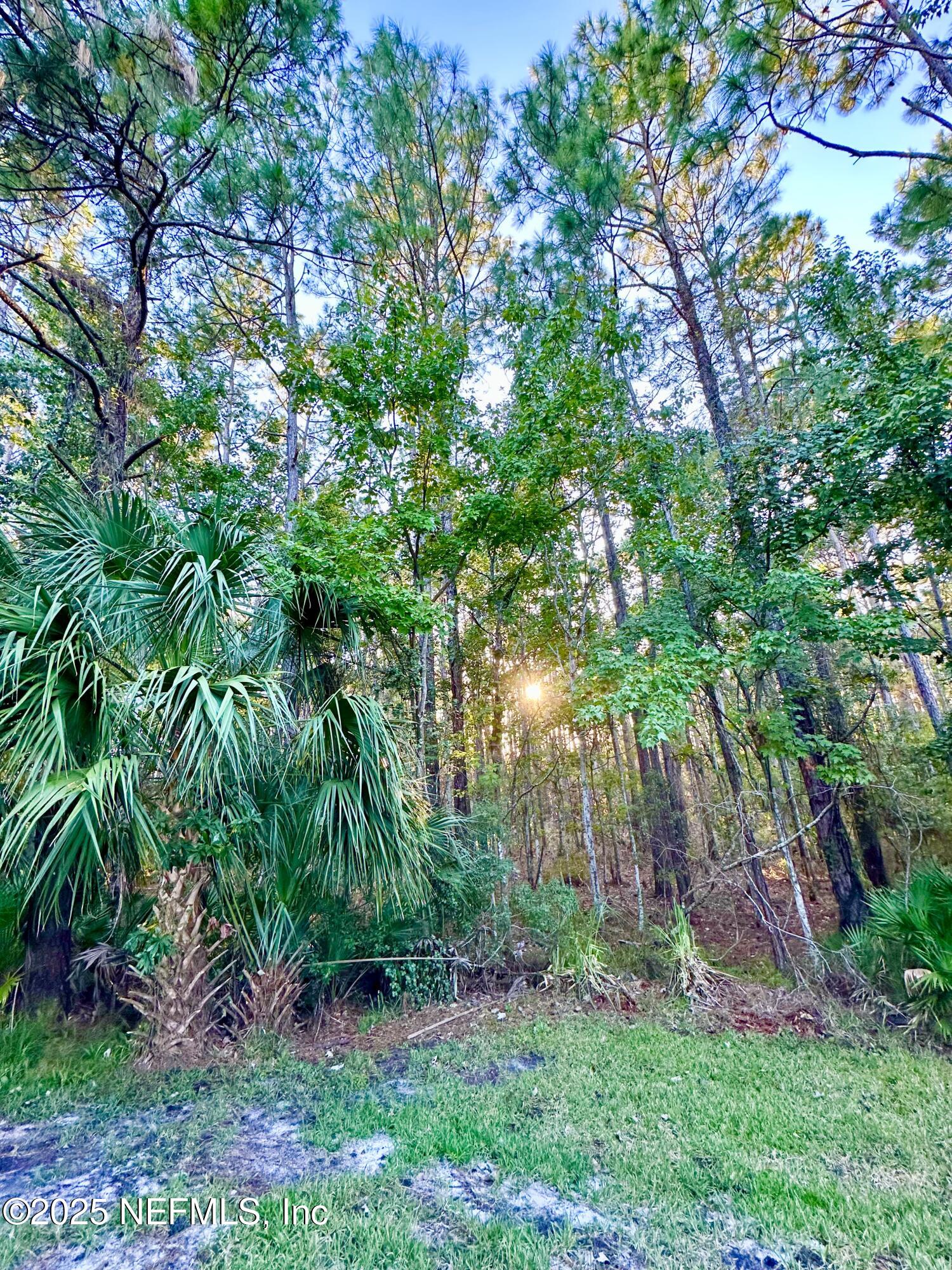10550 Baymeadows Road, Unit 818 Jacksonville, FL 32256 - Photo 38 of 62 PANORAMIC VIEW OF PRESERVE LOT