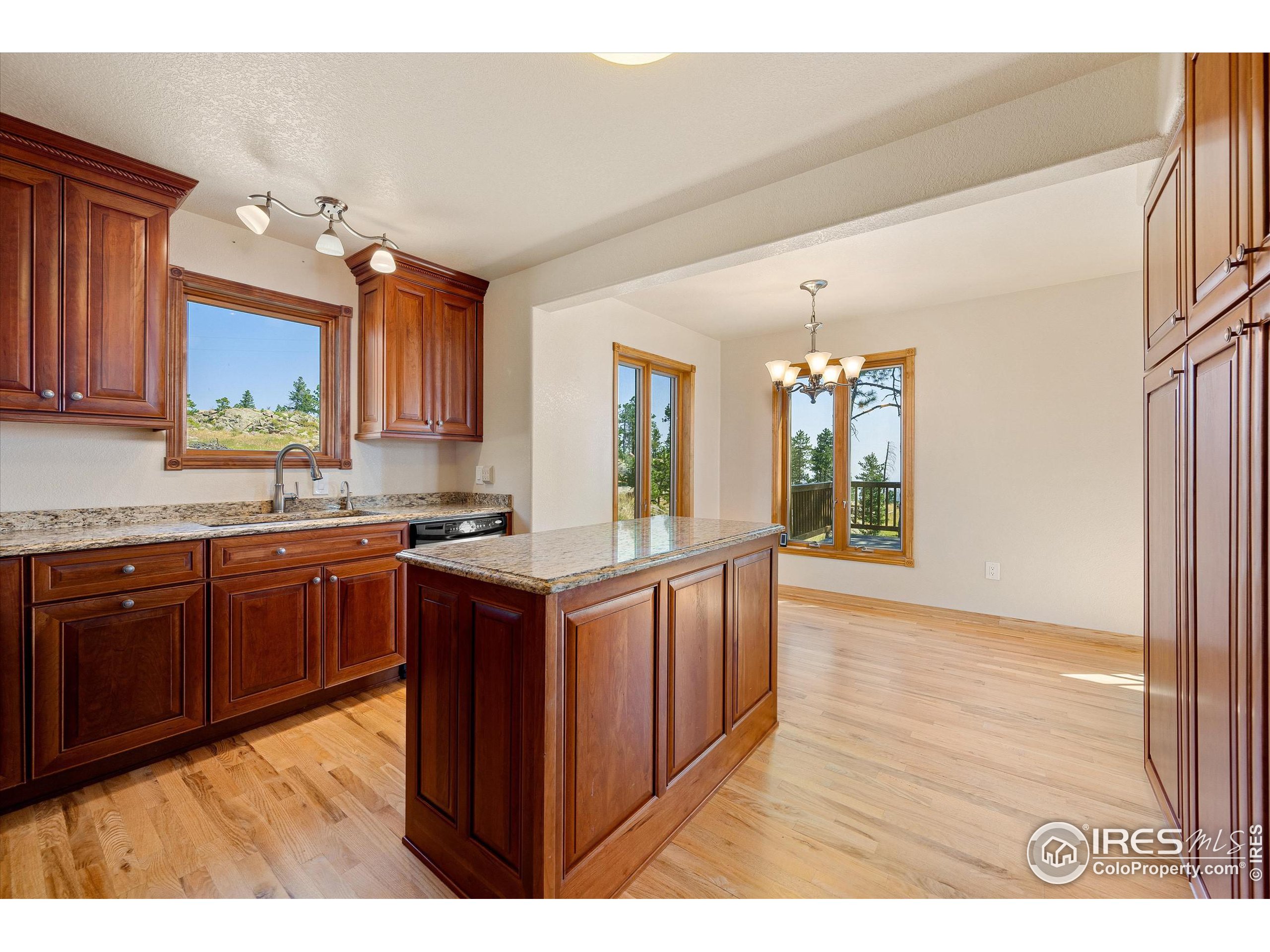 3805 Davis Ranch Road Bellvue, CO 80512 - Photo 19 of 39