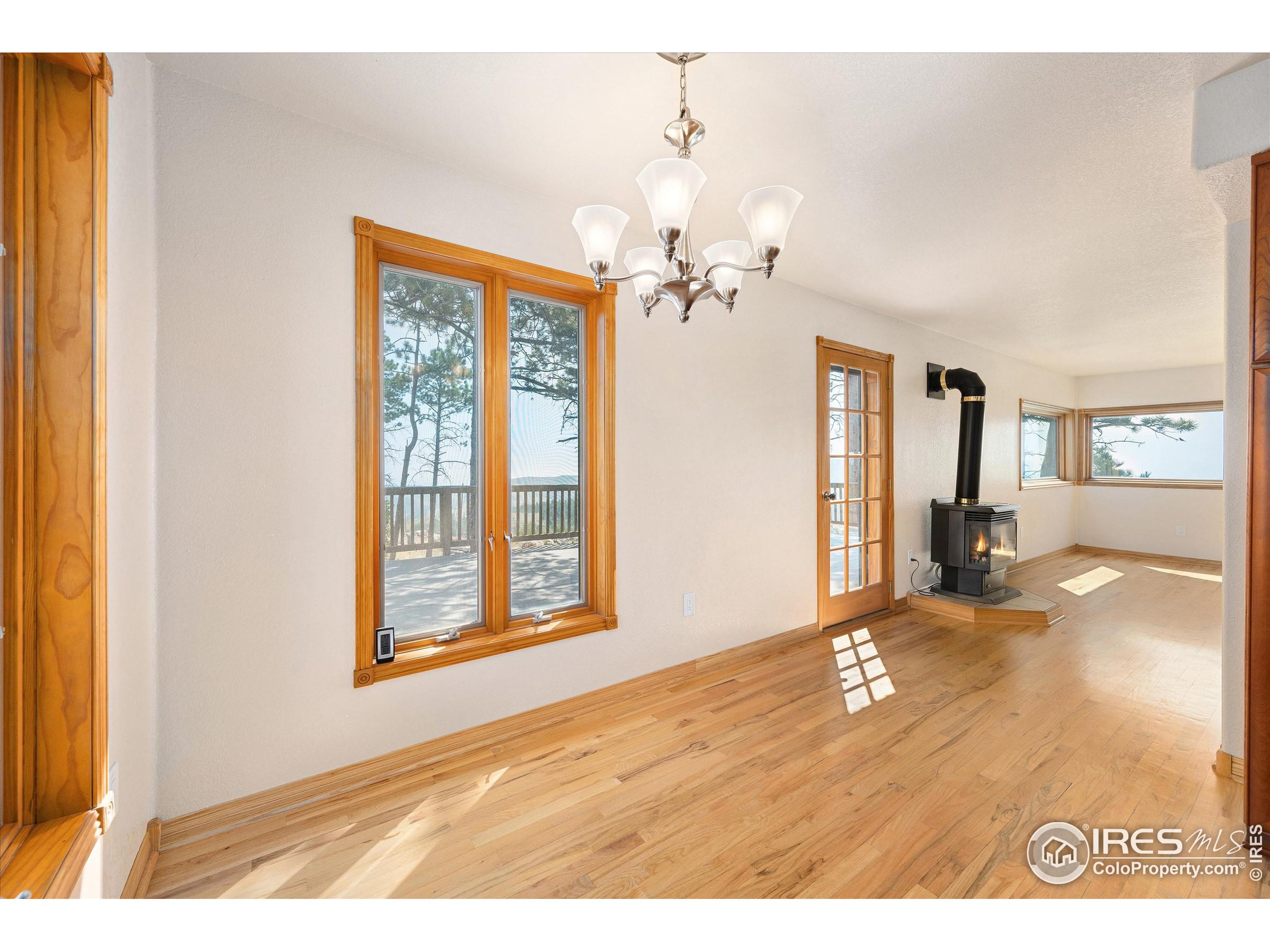 3805 Davis Ranch Road Bellvue, CO 80512 - Photo 10 of 39