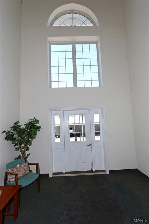 3605 Tracey Rich Rd Street, Unit 3C St. Louis, MO 63125 - Photo 4 of 24
