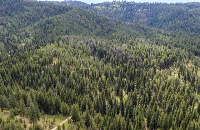 $403,325 | 42 Clear Creek Road, Cascade, ID 83611