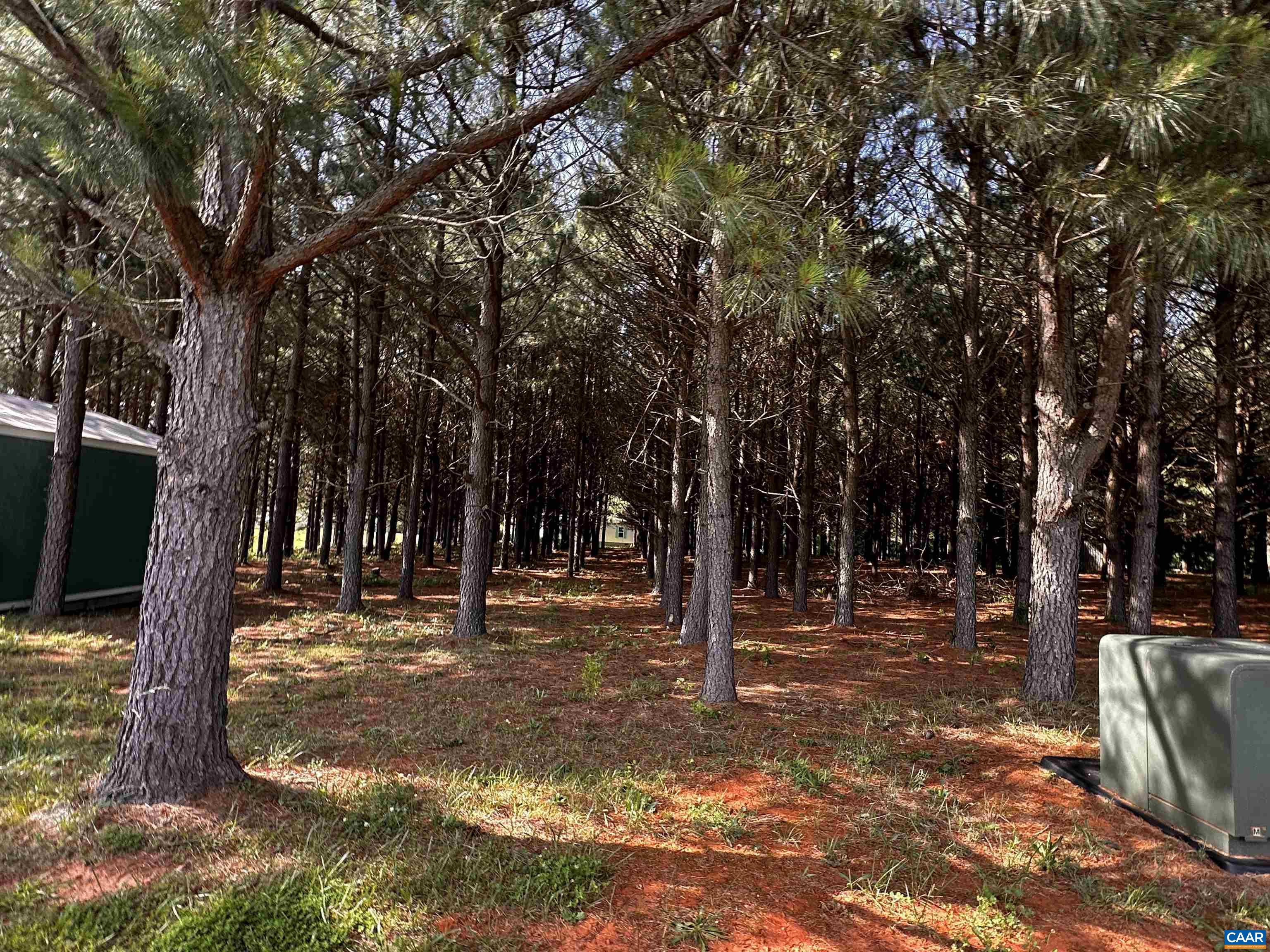 1625 South Constitution Route Dillwyn, VA 23936 - Photo 26 of 30 a view of outdoor space with trees