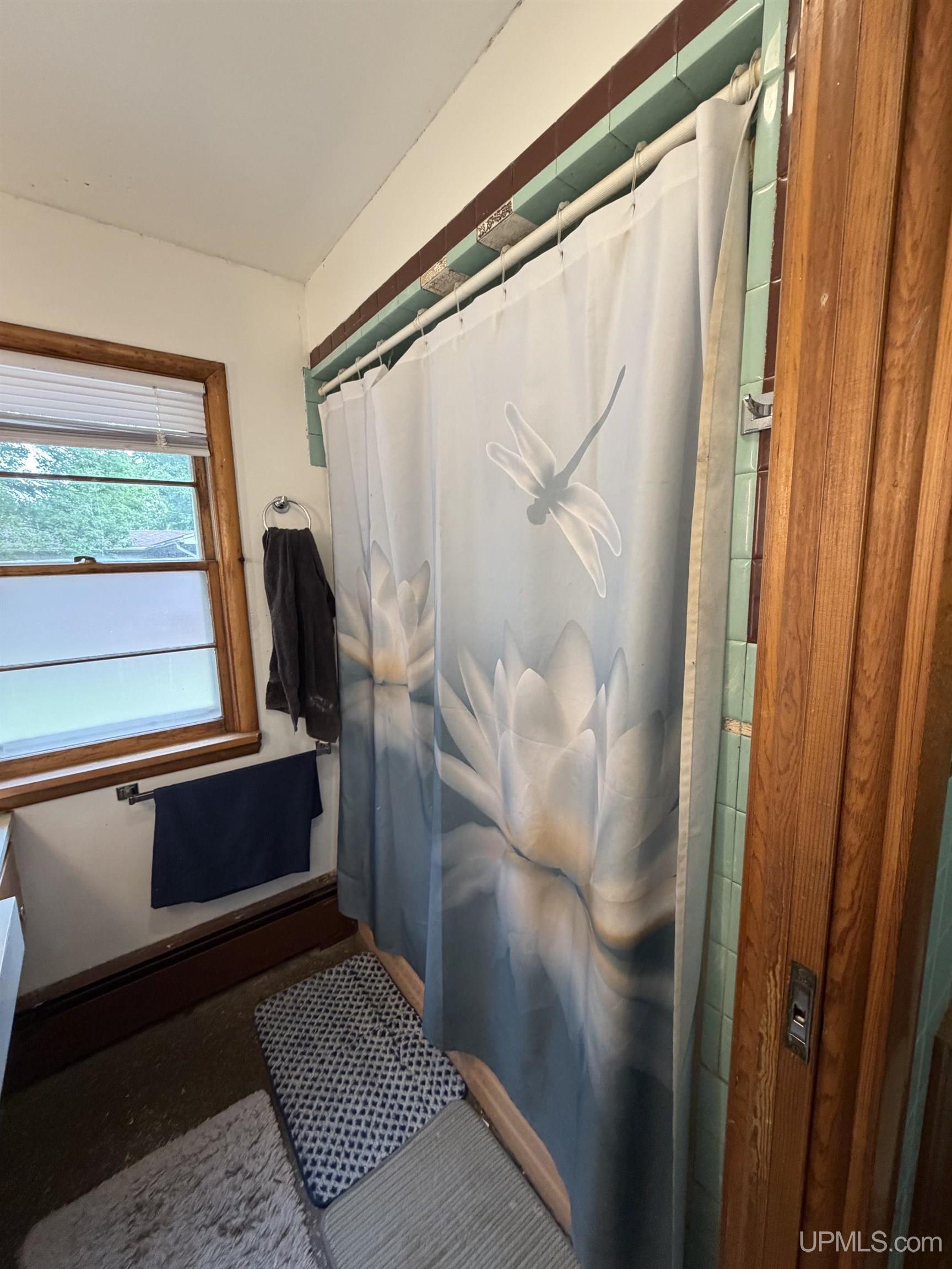 315 Seilo Avenue Ishpeming, MI 49849 - Photo 23 of 45