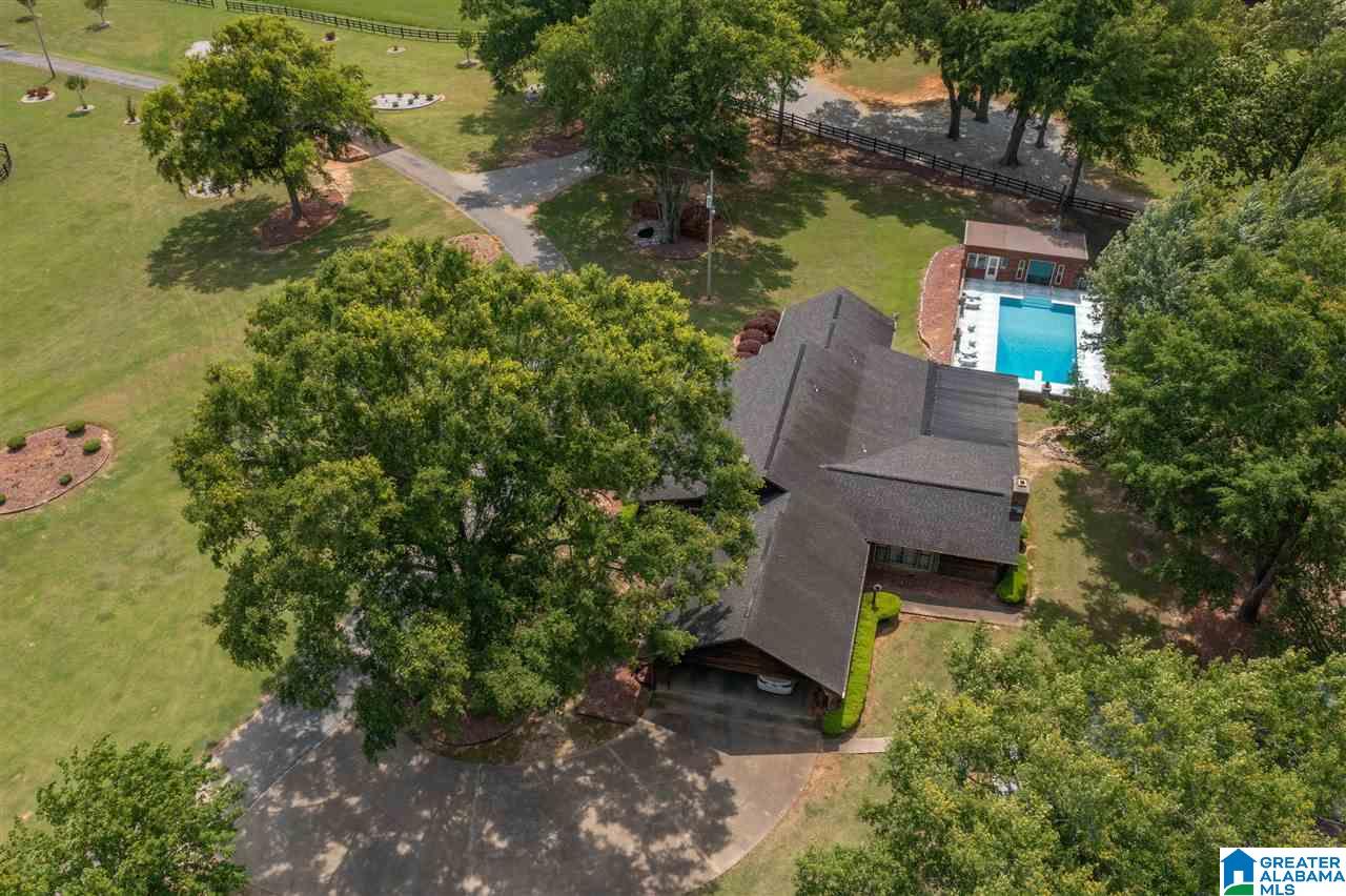 5360 McElderry Road North Munford, AL 36268 - Photo 43 of 45