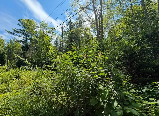 $59,000 | Lot 23 Webb Pond Road, Eastbrook, ME 04634