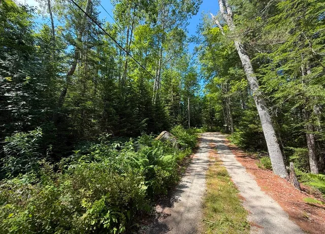$59,000 | Lot 23 Webb Pond Road, Eastbrook, ME 04634