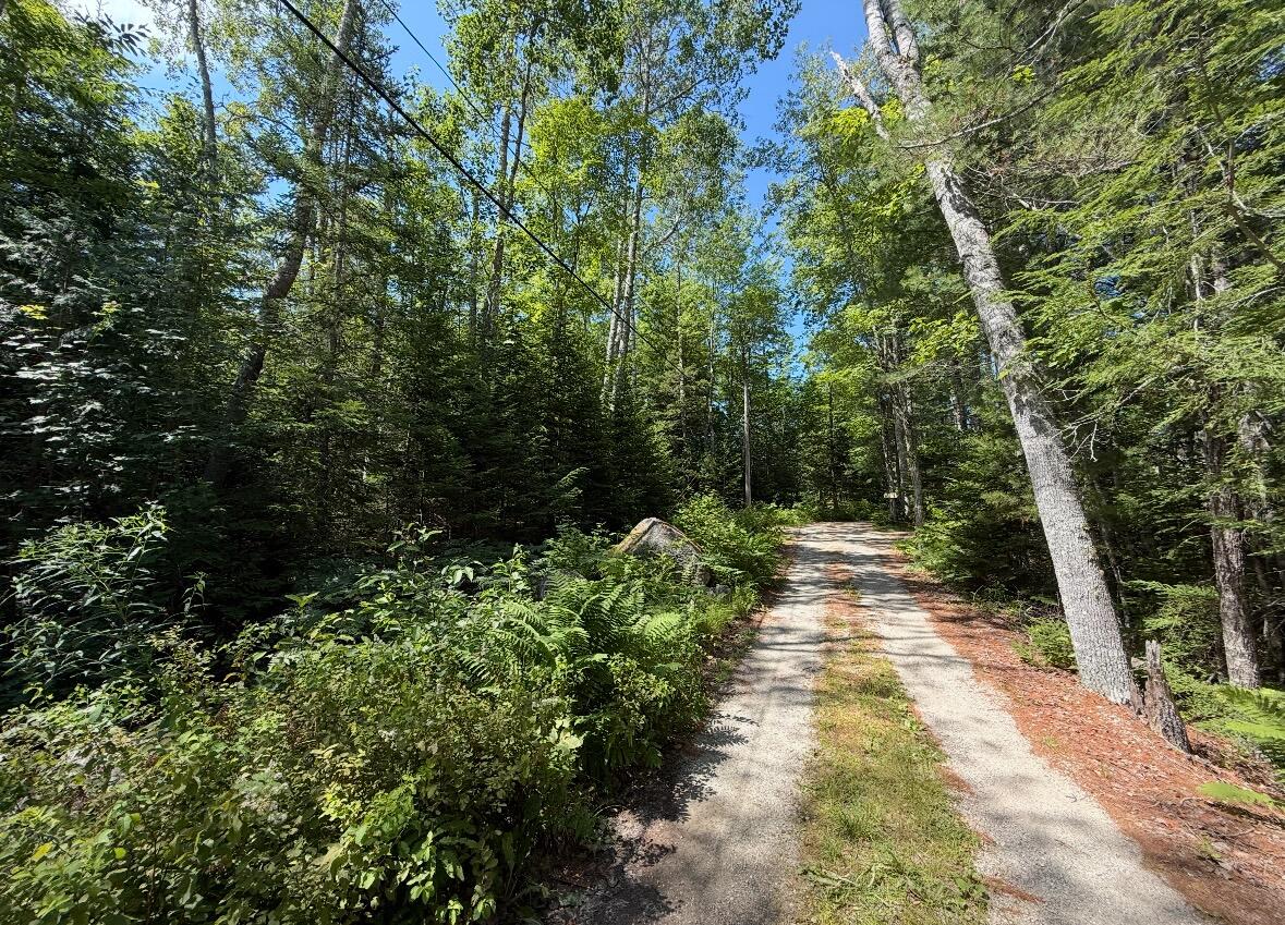 Lot 23 Webb Pond Road Eastbrook, ME 04634 - Photo 12 of 16 Lot 23 Webb Pond Rd