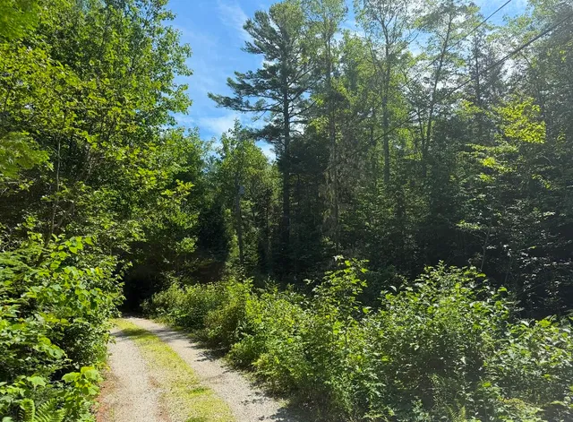 $59,000 | Lot 23 Webb Pond Road, Eastbrook, ME 04634