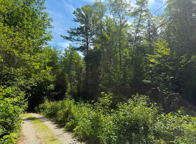 $59,000 | Lot 23 Webb Pond Road, Eastbrook, ME 04634