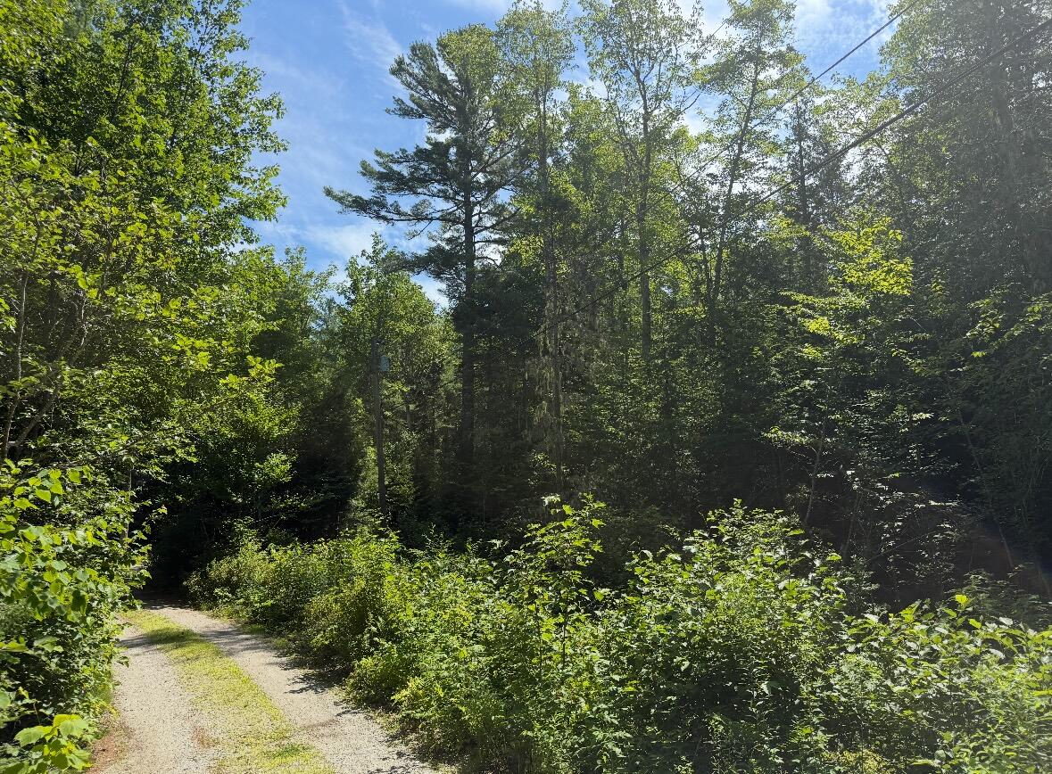 Lot 23 Webb Pond Road Eastbrook, ME 04634 - Photo 14 of 16 Lot 23 Webb Pond Rd