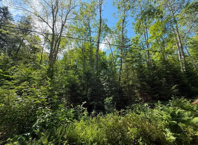 $59,000 | Lot 23 Webb Pond Road, Eastbrook, ME 04634