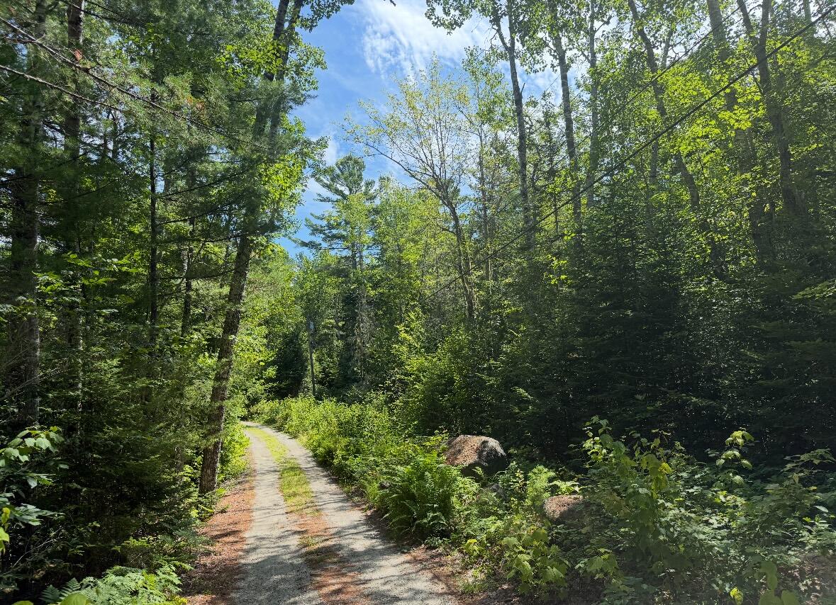 Lot 23 Webb Pond Road Eastbrook, ME 04634 - Photo 16 of 16 Lot 23 Webb Pond Rd