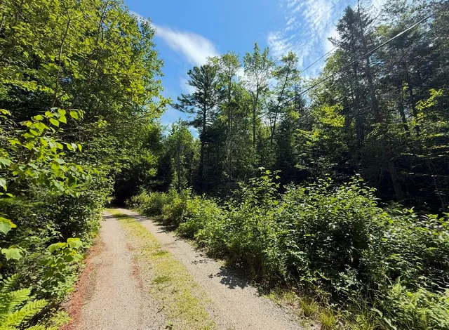 $59,000 | Lot 23 Webb Pond Road, Eastbrook, ME 04634