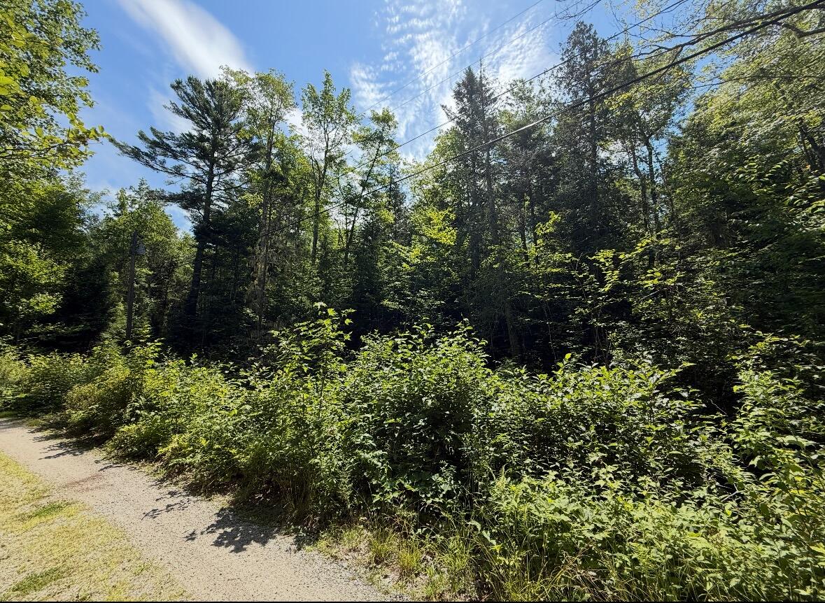 Lot 23 Webb Pond Road Eastbrook, ME 04634 - Photo 6 of 16 Lot 23 Webb Pond Rd