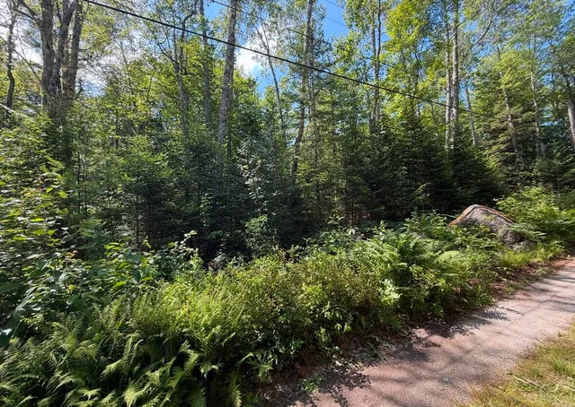 $59,000 | Lot 23 Webb Pond Road, Eastbrook, ME 04634