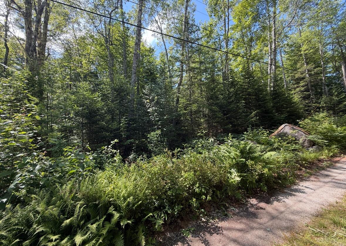 Lot 23 Webb Pond Road Eastbrook, ME 04634 - Photo 7 of 16 Lot 23 Webb Pond Rd