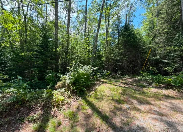 $59,000 | Lot 23 Webb Pond Road, Eastbrook, ME 04634