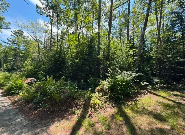 $59,000 | Lot 23 Webb Pond Road, Eastbrook, ME 04634