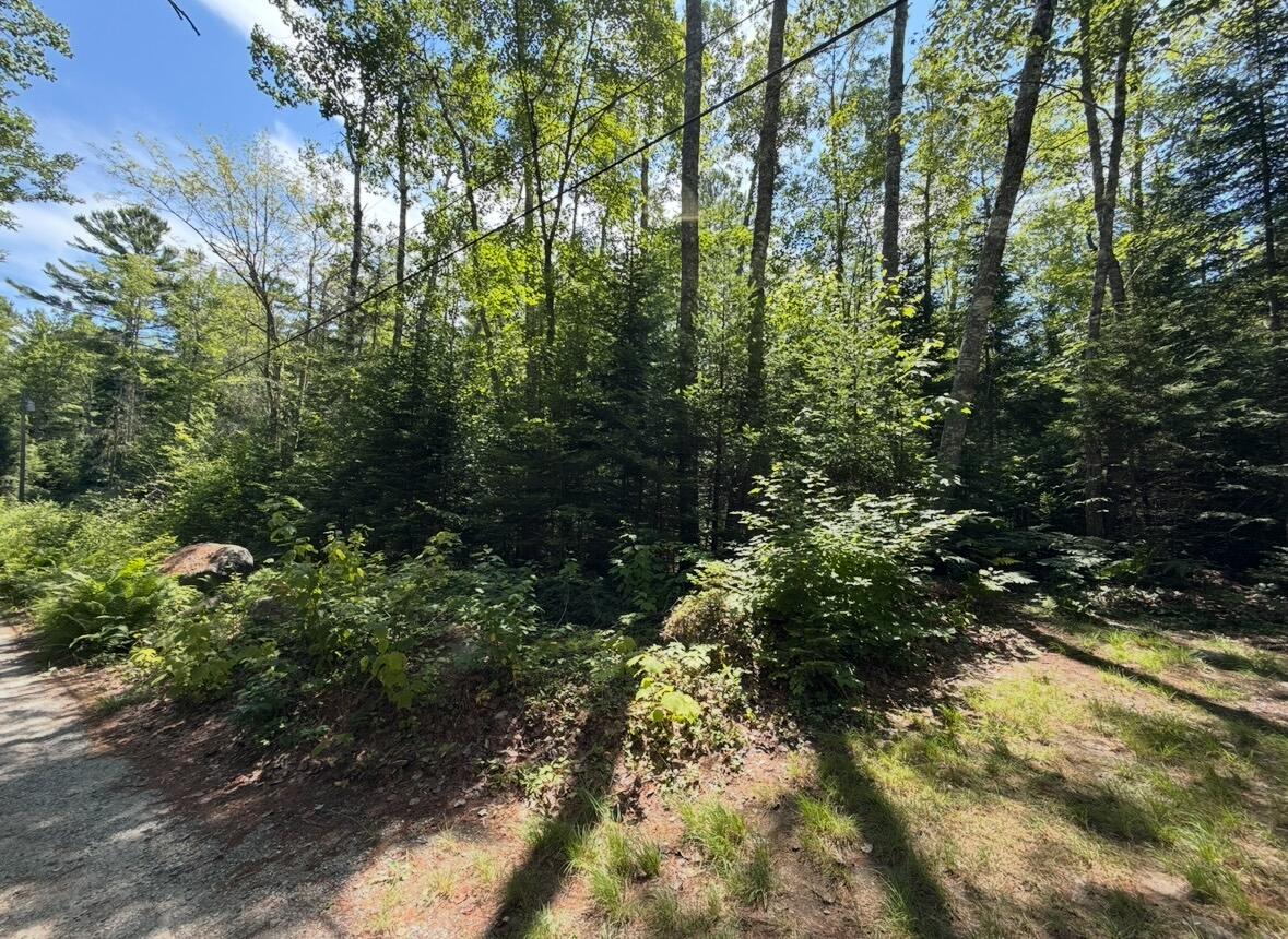 Lot 23 Webb Pond Road Eastbrook, ME 04634 - Photo 10 of 16 Lot 23 Webb Pond Rd