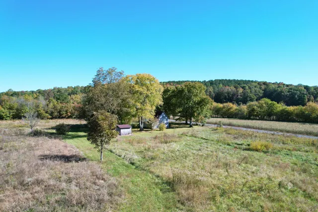 a view of a yard with a tree
