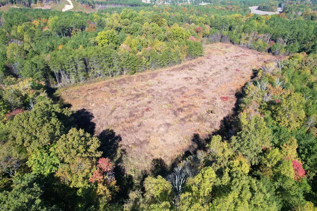 a view of a garden with a flower in a garden