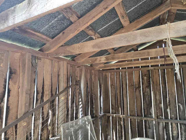 a big yard with road and trees