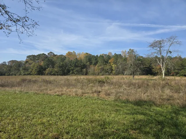 a view of outdoor space with trees