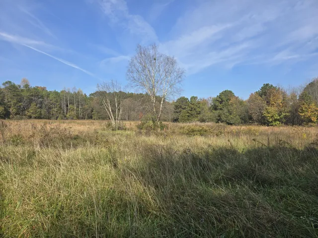 a view of lake with green space