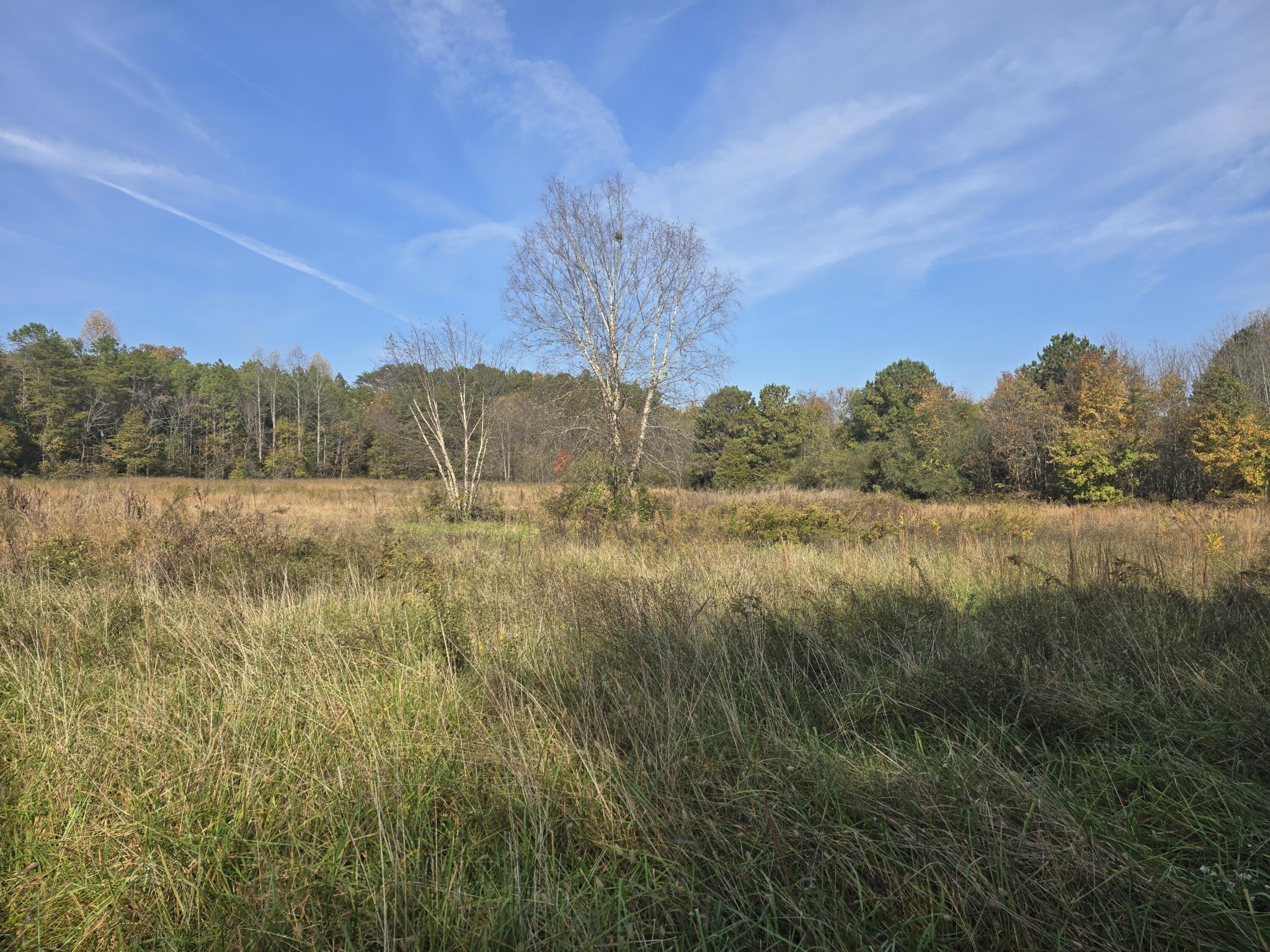 1379 Sand Mountain Road Ocoee, TN 37361 - Photo 27 of 34 Gallery Image 27