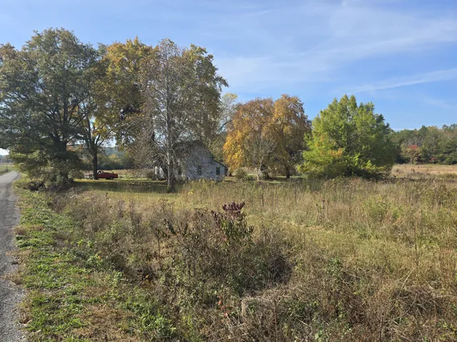 a big yard with lots of green space