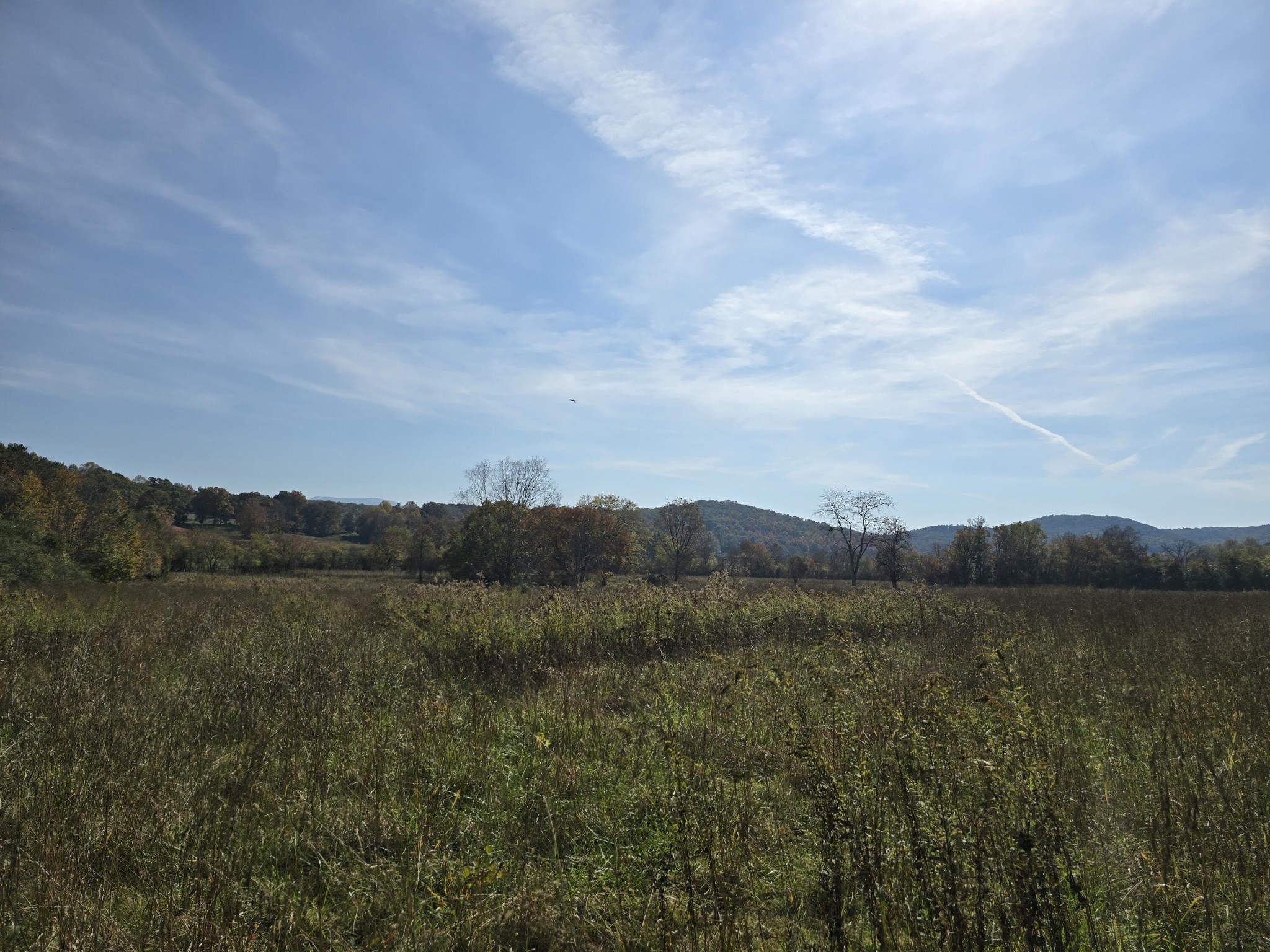 1379 Sand Mountain Road Ocoee, TN 37361 - Photo 32 of 34 Gallery Image 32