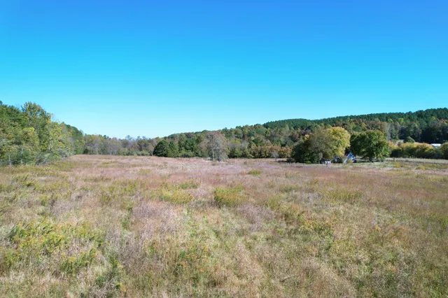 a view of a field of grass and trees