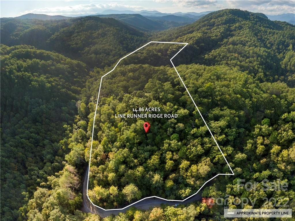 0 Line Runner Ridge Road Rosman, NC 28772 - Photo 2 of 13
