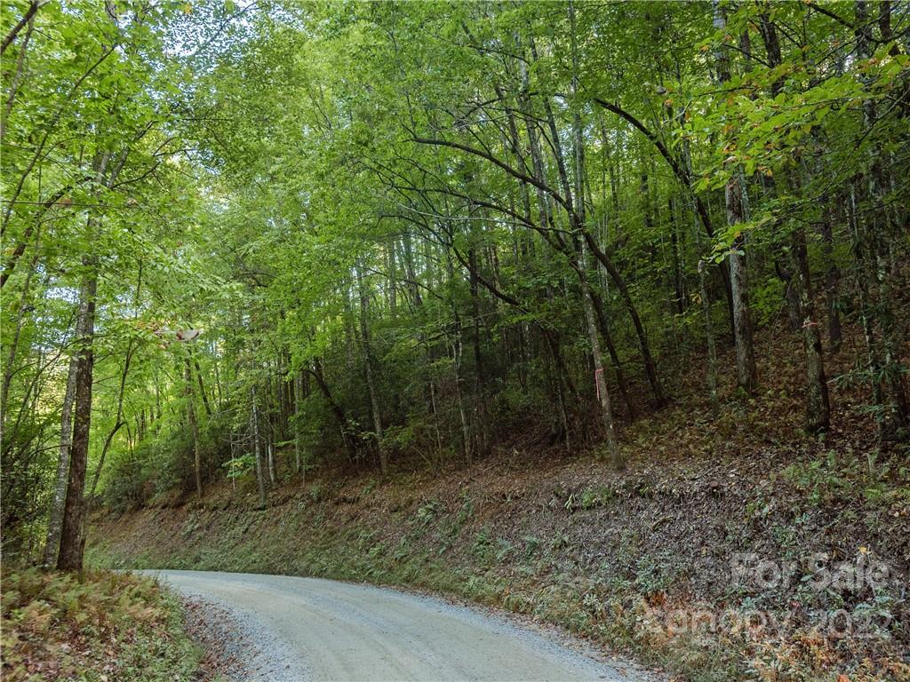 0 Line Runner Ridge Road Rosman, NC 28772 - Photo 7 of 13 a view of a forest with trees in the background
