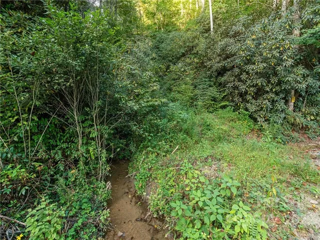 a view of a bench in a garden