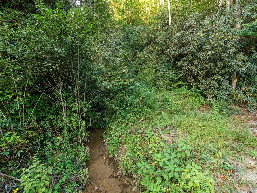 0 Line Runner Ridge Road Rosman, NC 28772 - Photo 8 of 13 a view of a garden
