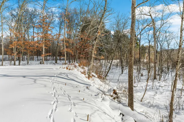 $1,500,000 | 3008 East Upper Field Trail, Newaygo, MI 49337