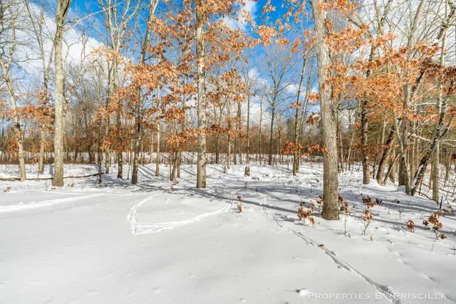 $1,500,000 | 3008 East Upper Field Trail, Newaygo, MI 49337