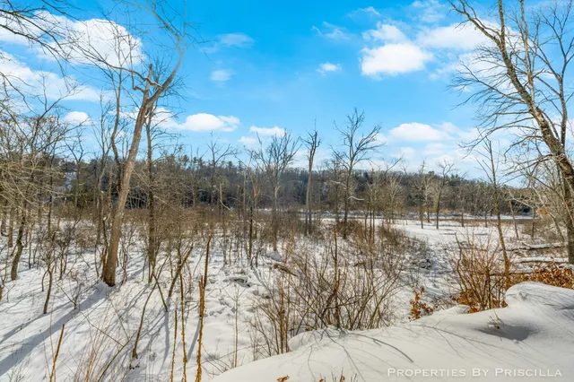 $1,500,000 | 3008 East Upper Field Trail, Newaygo, MI 49337