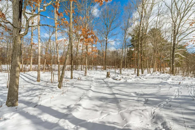 $1,500,000 | 3008 East Upper Field Trail, Newaygo, MI 49337