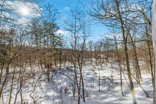 $1,500,000 | 3008 East Upper Field Trail, Newaygo, MI 49337
