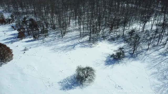 $1,500,000 | 3008 East Upper Field Trail, Newaygo, MI 49337