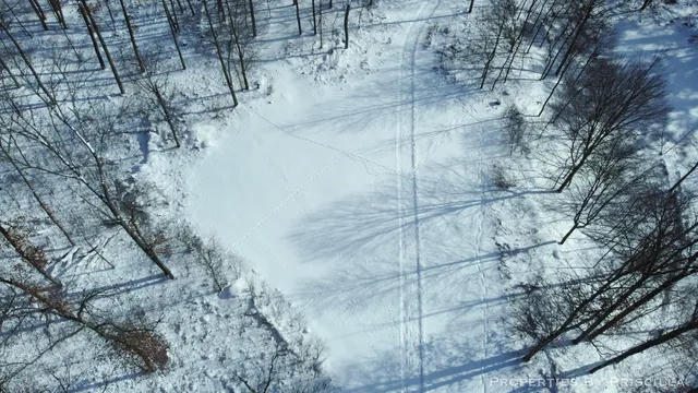 $1,500,000 | 3008 East Upper Field Trail, Newaygo, MI 49337