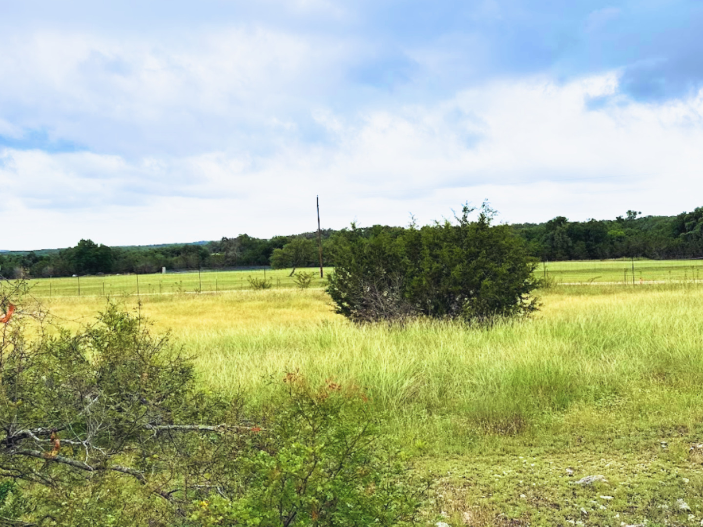420 George Dolson Blanco, TX 78606 - Photo 1 of 4