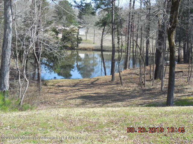 462 Krotzer Road Sardis, MS 38666 - Photo 44 of 45 DSCN3843