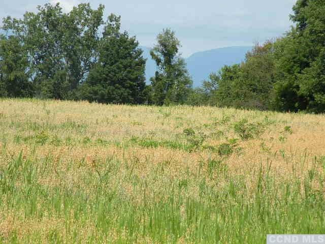 Undisclosed Address Livingston, NY 12534 - Photo 13 of 16 a view of yard with swimming pool and trees in the background