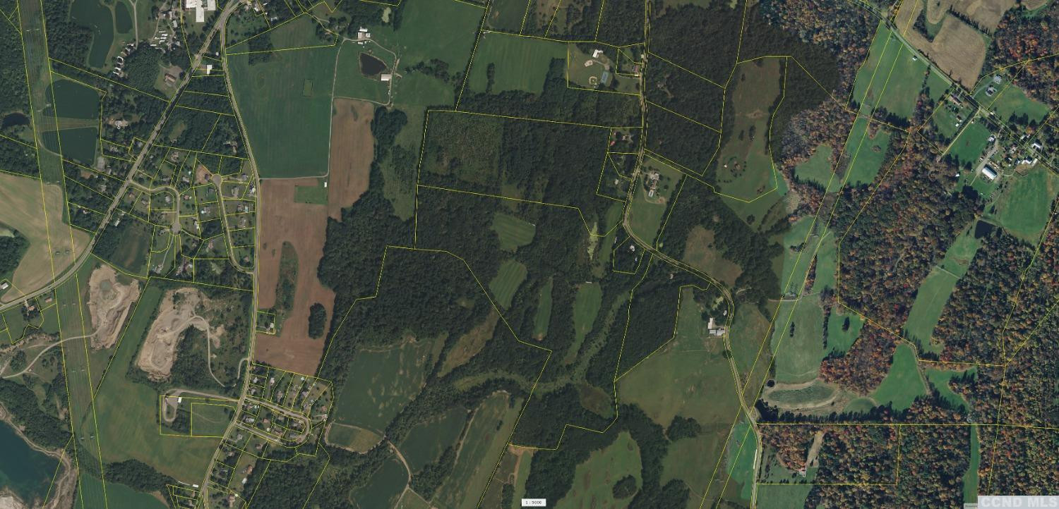 Undisclosed Address Livingston, NY 12534 - Photo 16 of 16 a close view of a plant in a garden