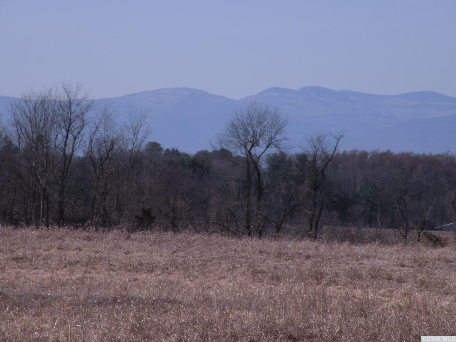 Undisclosed Address Livingston, NY 12534 - Photo 4 of 16 a view of a dry yard