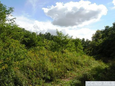 Undisclosed Address Livingston, NY 12534 - Photo 5 of 16 a view of a big yard